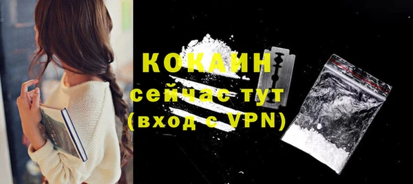 спиды Дмитриев