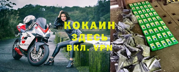 твердый Елизово