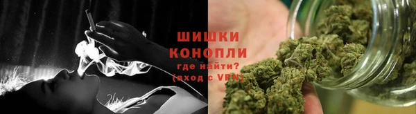 спиды Дмитриев