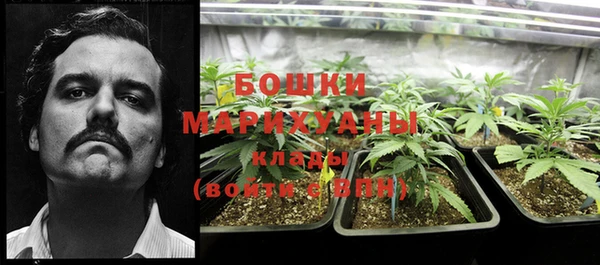 спиды Дмитриев
